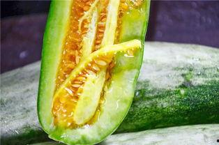 网红陈佩奇吃瓜视频,揭秘网红幕后生活  第1张